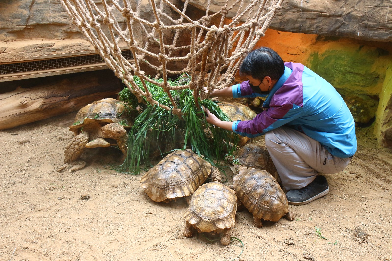 两爬馆 朱建青 (1).JPG