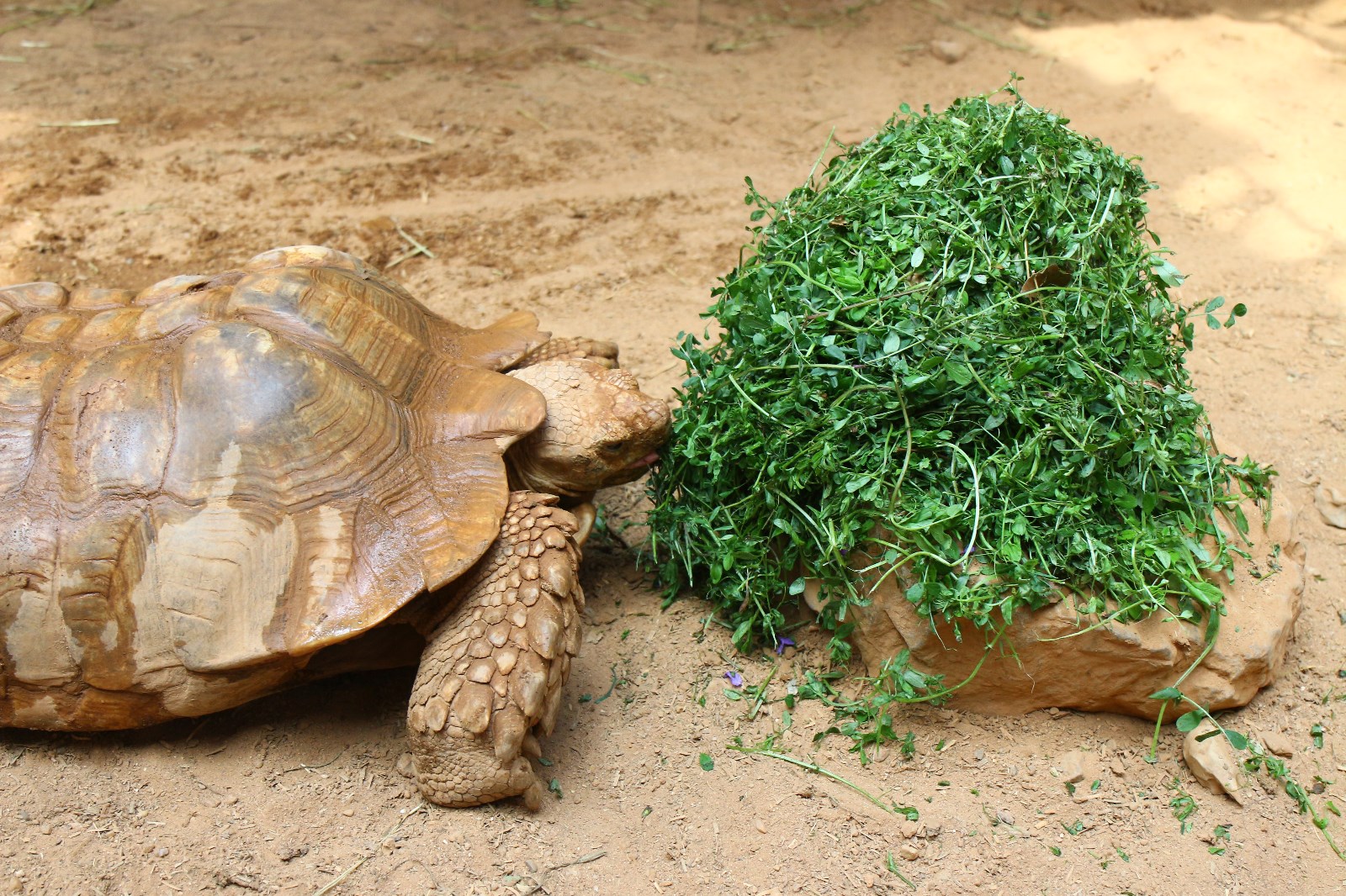 两爬馆 朱建青 (6).JPG