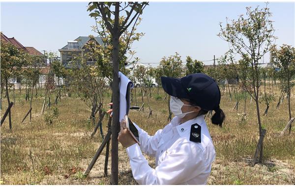 ���߼�鳣̬�� �������ֹ�����ʵ��չ2.jpg