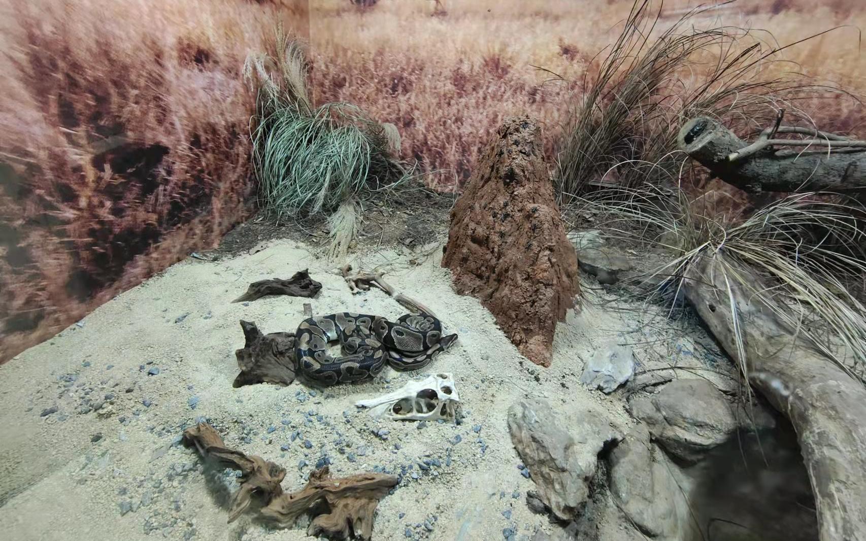 ���Ƹ� (1).jpg