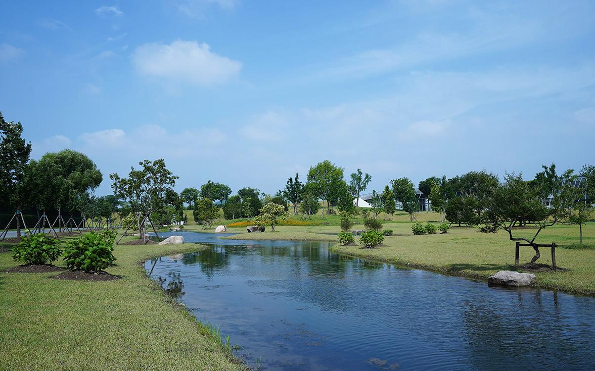 壳斗科小溪.jpg 壳斗科小溪.jpg