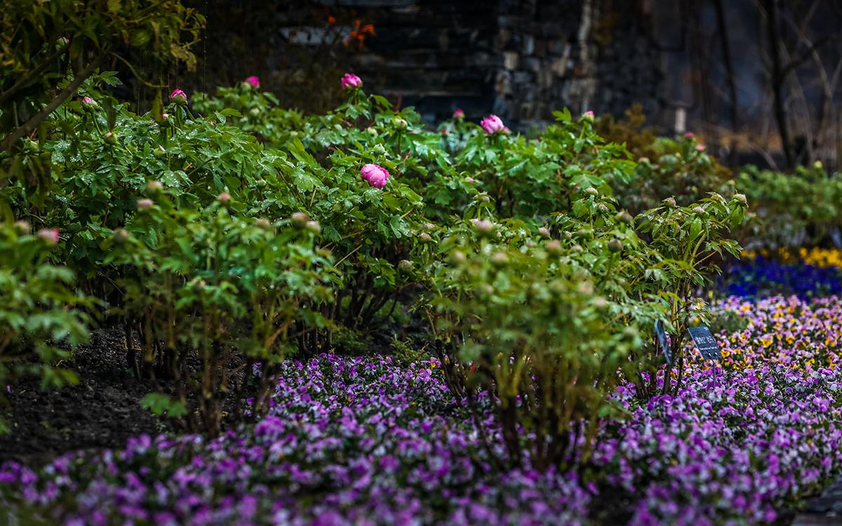 ��ɫ���� 02.jpg