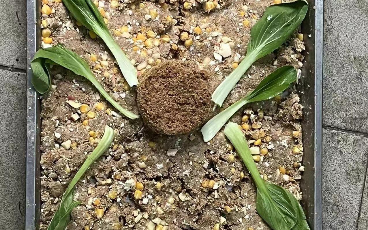 ���� ƴ�� �ܱ�.jpg