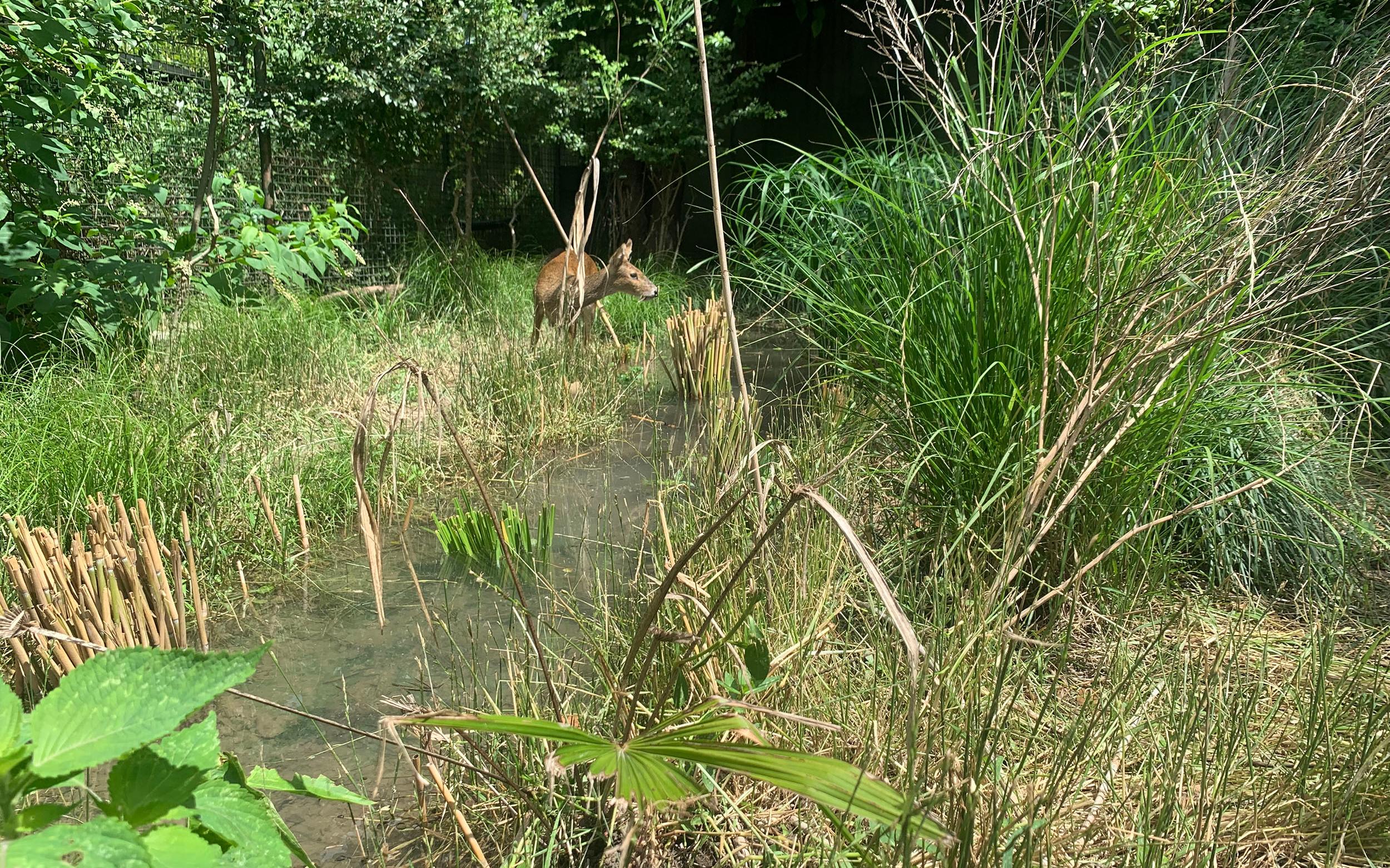 ��ֳ���01 (1).jpg