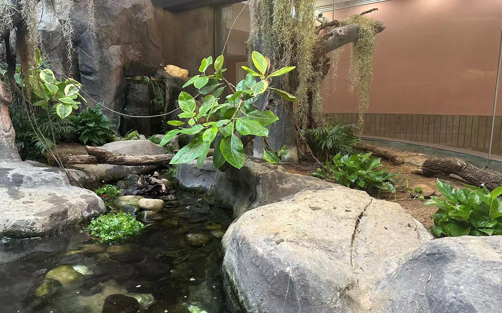 ������ ��־��3.jpg