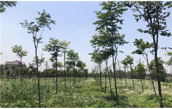 ���߼�鳣̬�� �������ֹ�����ʵ��չ3.jpg