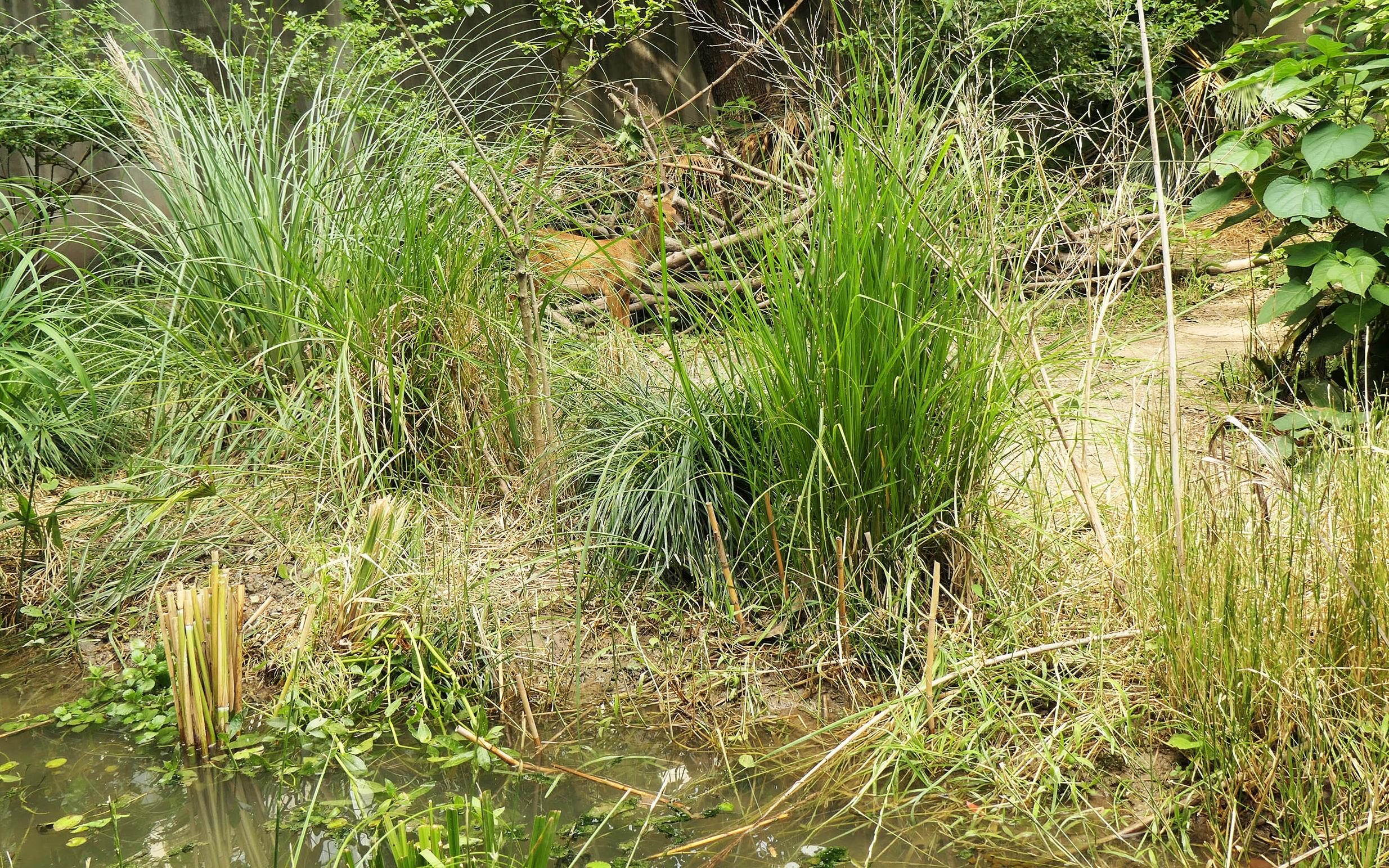 ��ֳ���콨��01 (1).JPG