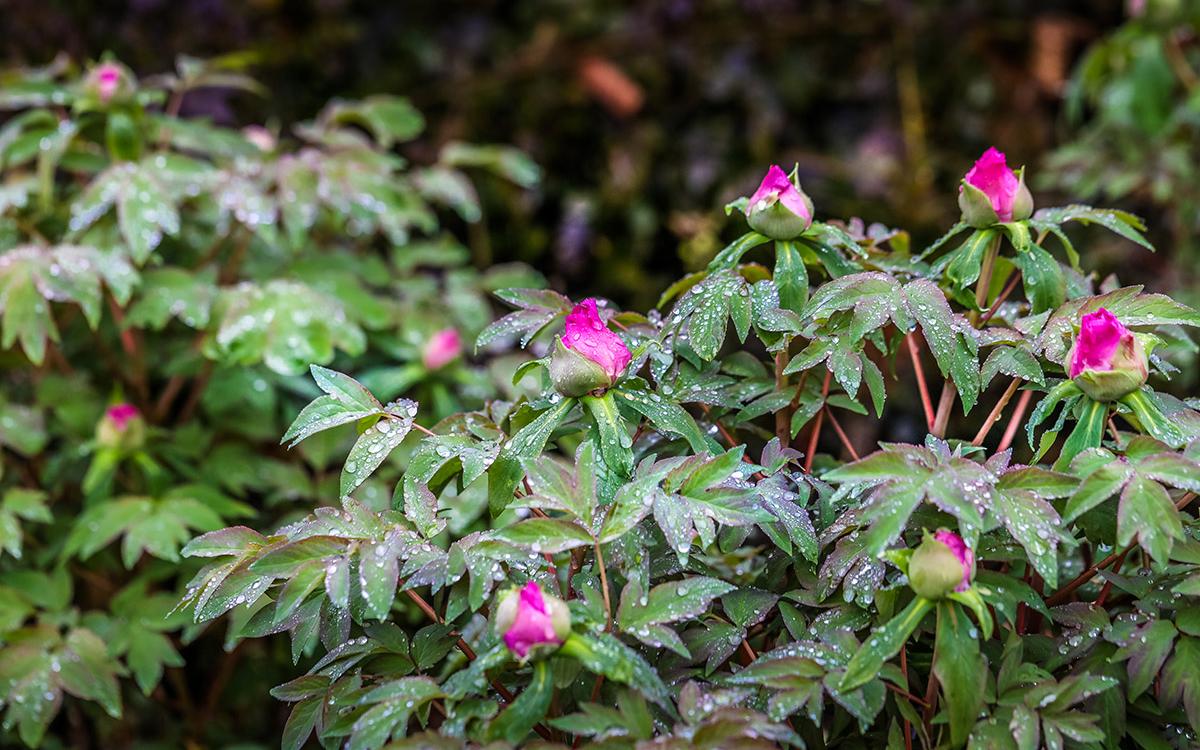 ��ɫ���� 03.jpg