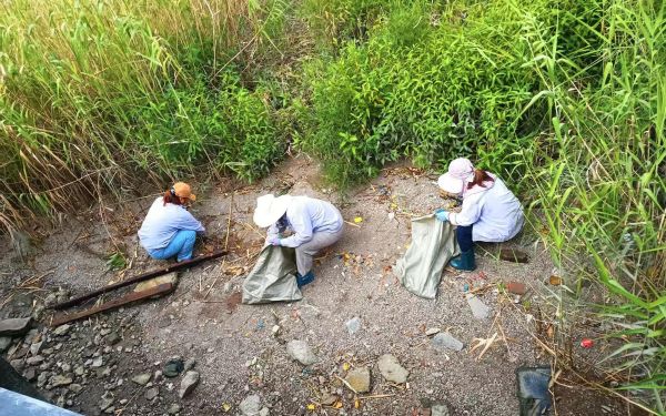 346(3).jpg 346(3).jpg