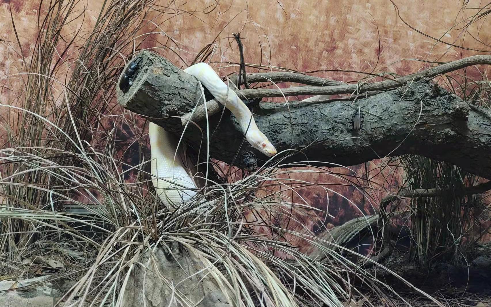 ���Ƹ� (4).jpg