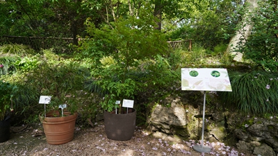 上海辰山植物园.jpg 上海辰山植物园.jpg