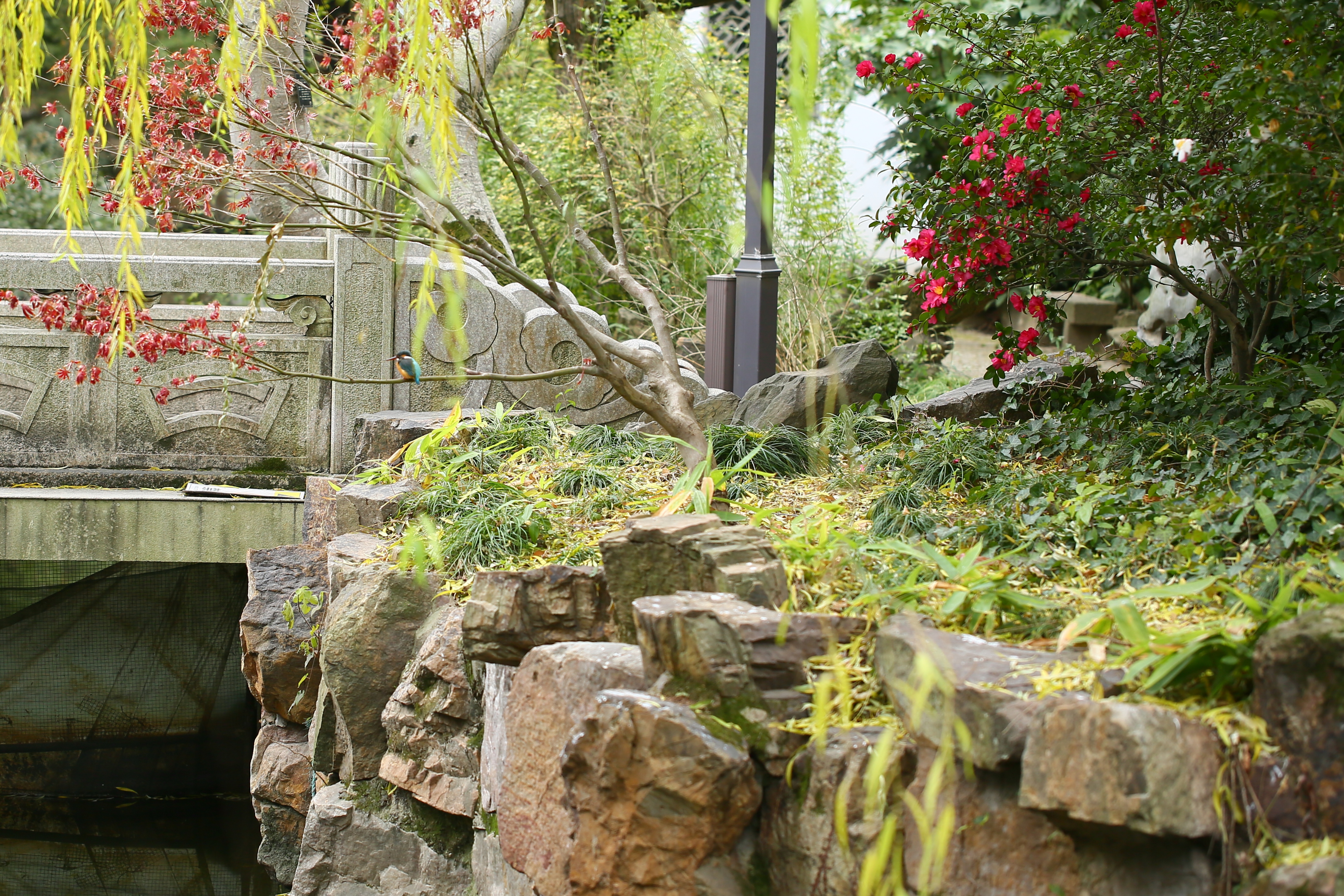 水边2.jpg 水边2.jpg