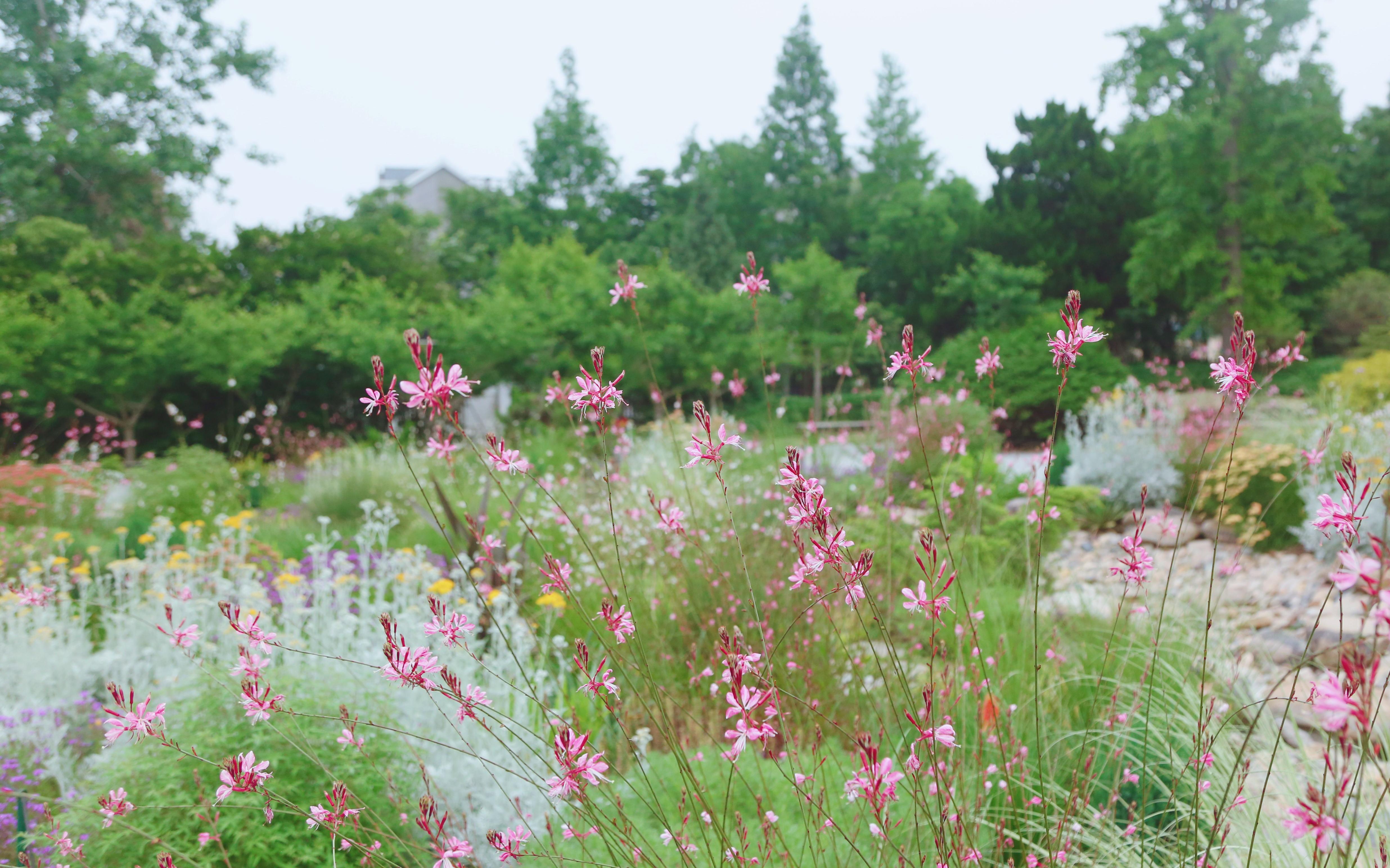 ���� (2).jpg