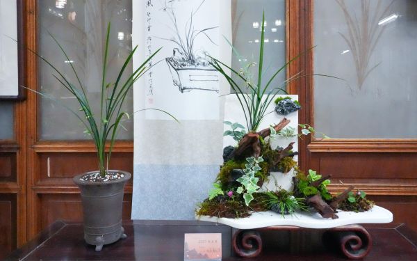 DSC00757.jpg DSC00757.jpg