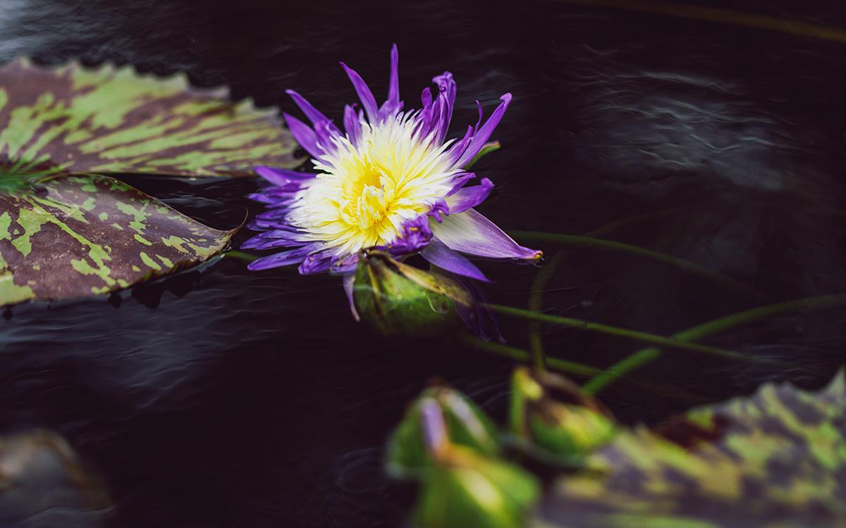 ������ 3.jpg