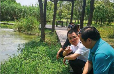 2019年6月27日，汤臣栋副局长调研湿地生态修复工作（薛程 摄）.jpg