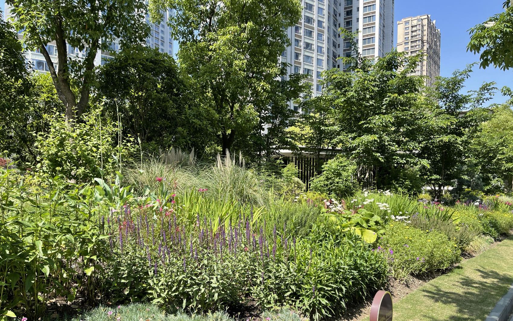 707d54b10bd5c6fca20eb04c039937f.jpg 707d54b10bd5c6fca20eb04c039937f.jpg