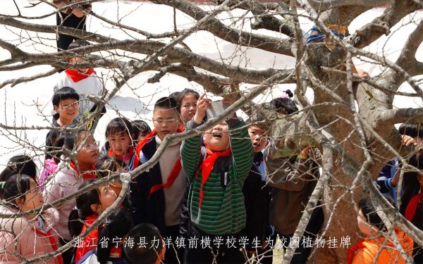 浙江省宁海县力洋镇前横学校.jpg 浙江省宁海县力洋镇前横学校.jpg