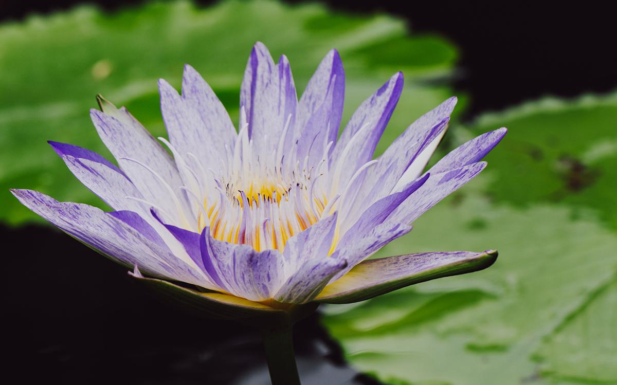 ���ٺ� 3.jpg