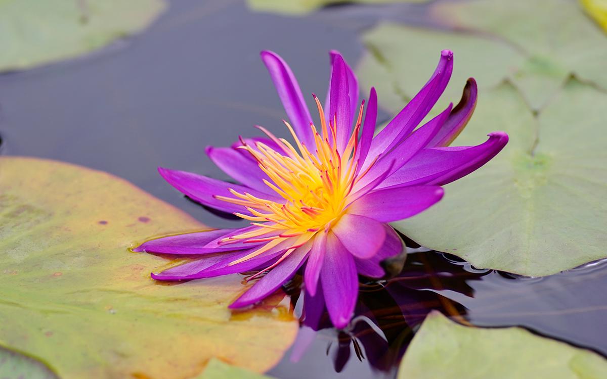 ��ƽ��-�� (2).jpg