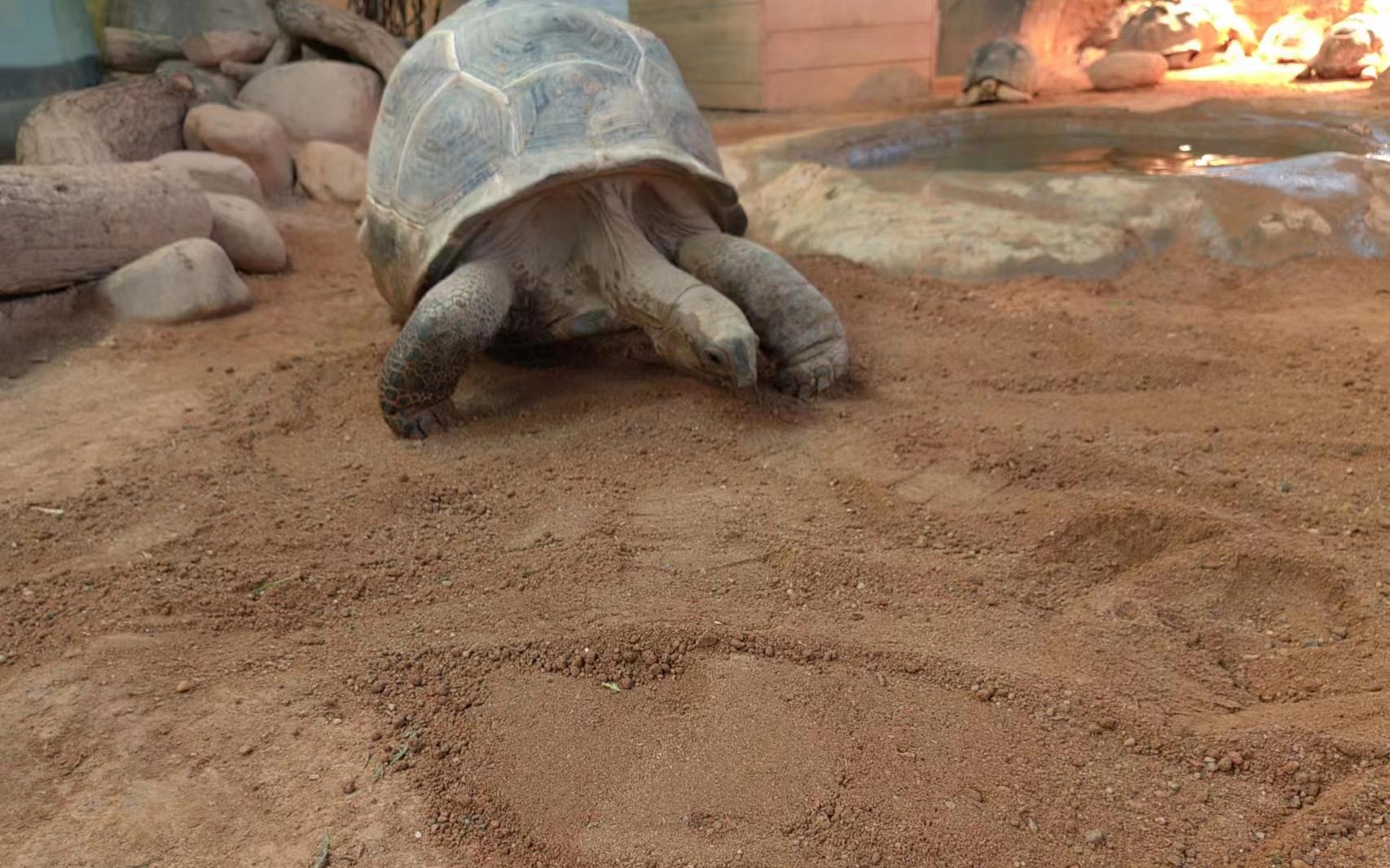 ������ �¾�3.jpg