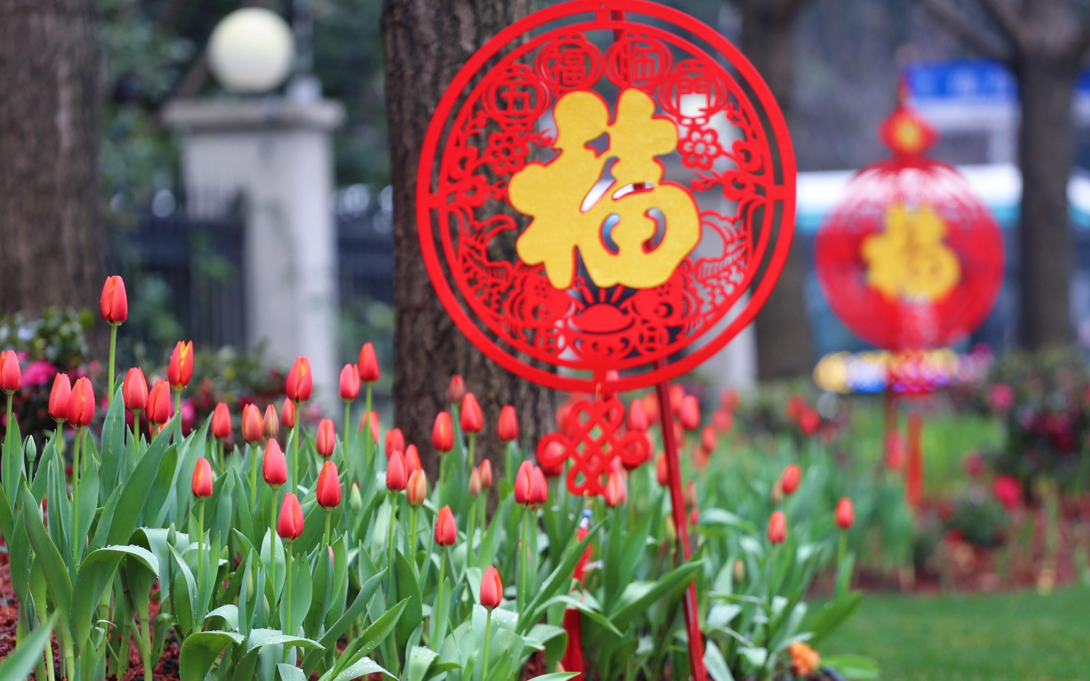 ��Ϫ��·�ϵ�· (2).jpg