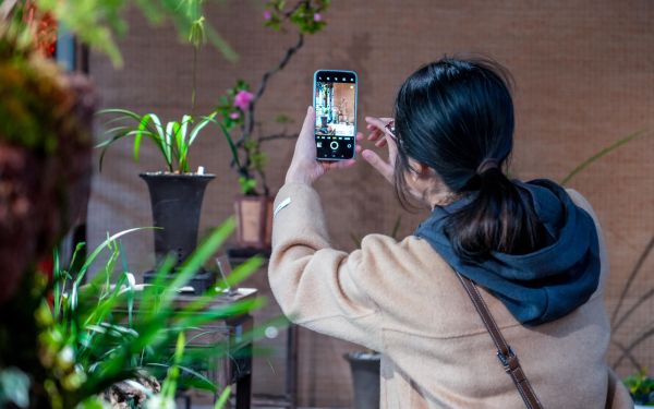 DSC00650.jpg DSC00650.jpg