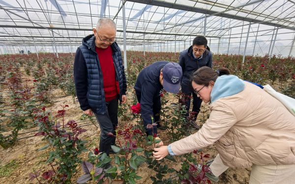 市林业总站开展林木品种审定上门指导服务.jpg 市林业总站开展林木品种审定上门指导服务.jpg