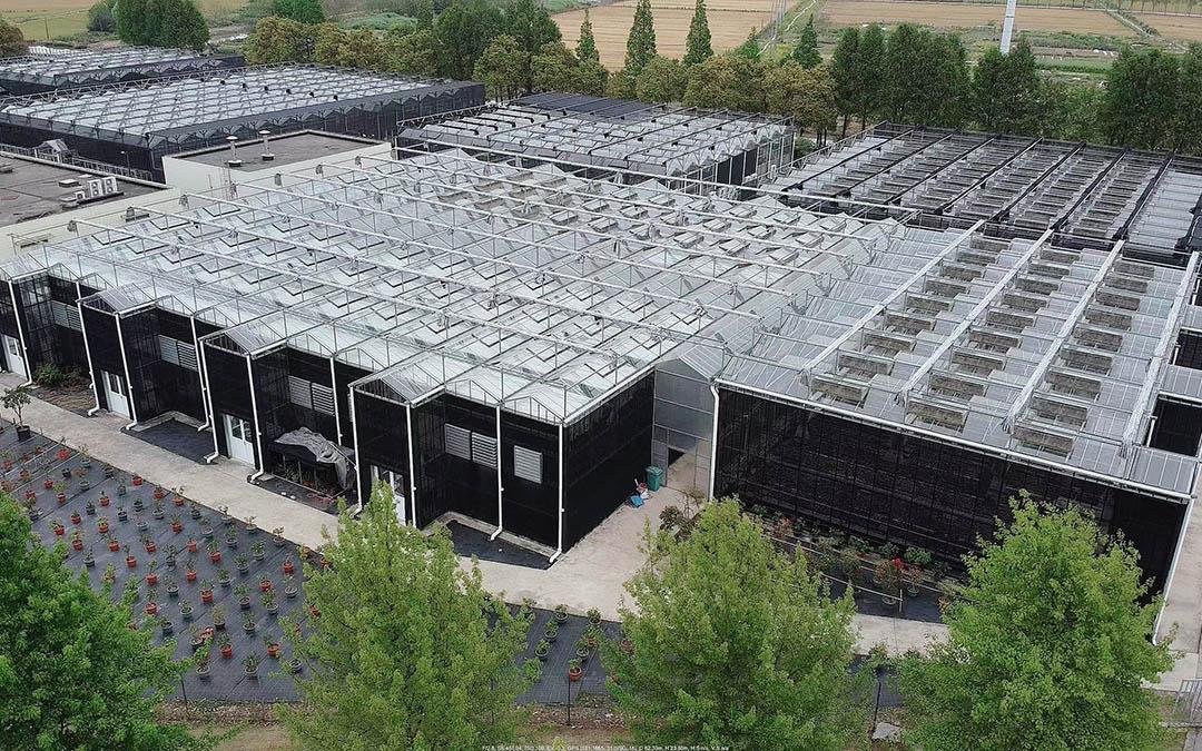 辰山隔离苗圃.jpg 辰山隔离苗圃.jpg