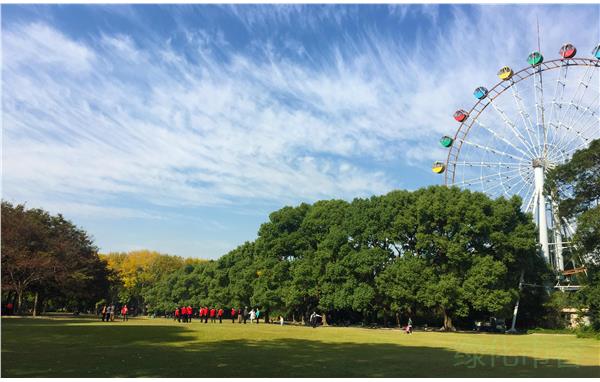 来上海动物园野餐,坐摩天轮 拥抱翠绿与碧蓝