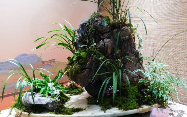 DSC00583.jpg DSC00583.jpg