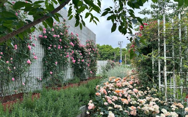 214.5万平方米！上海“十四五...