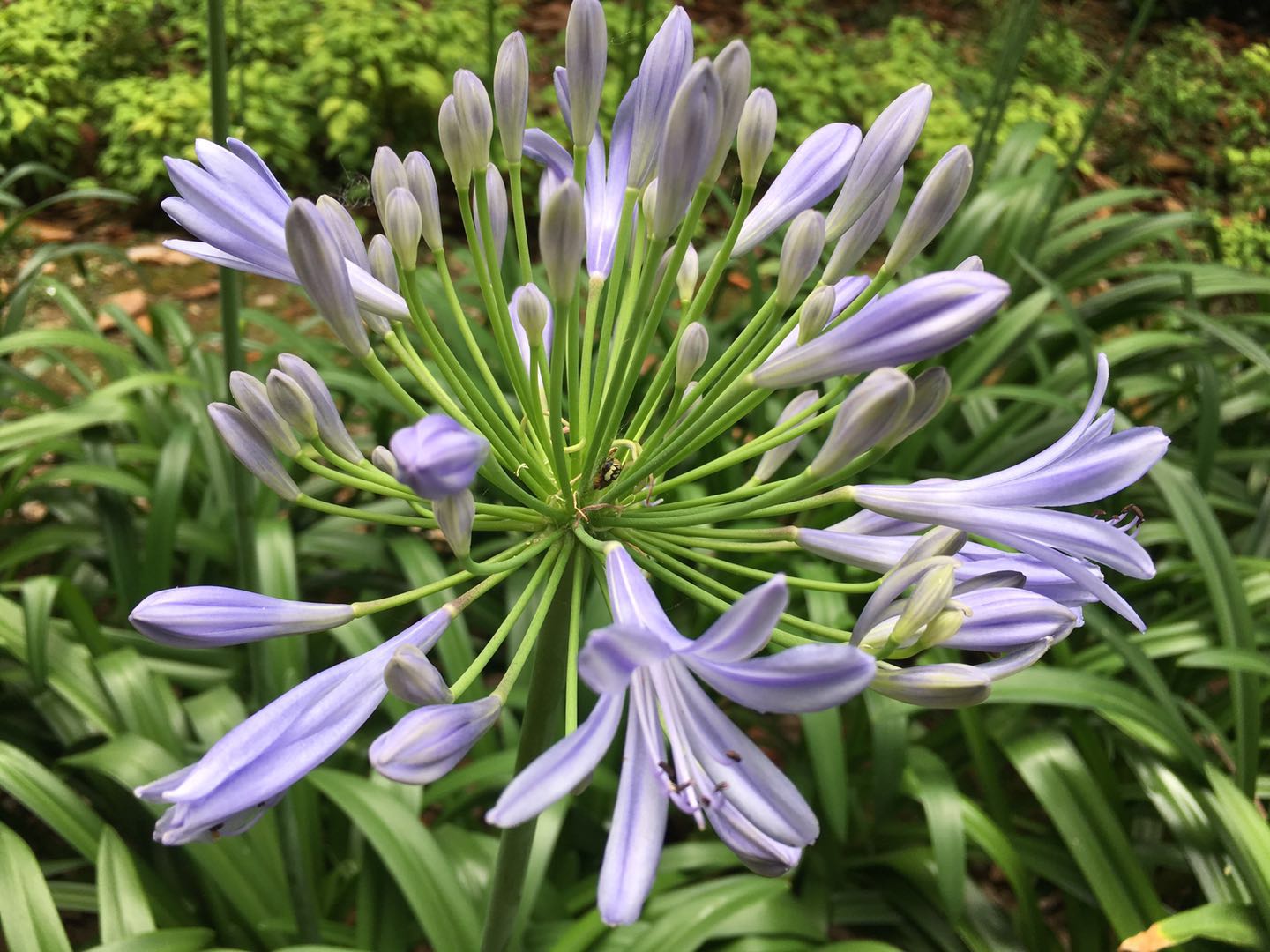 微信图片_20190618084221.jpg 微信图片_20190618084221.jpg