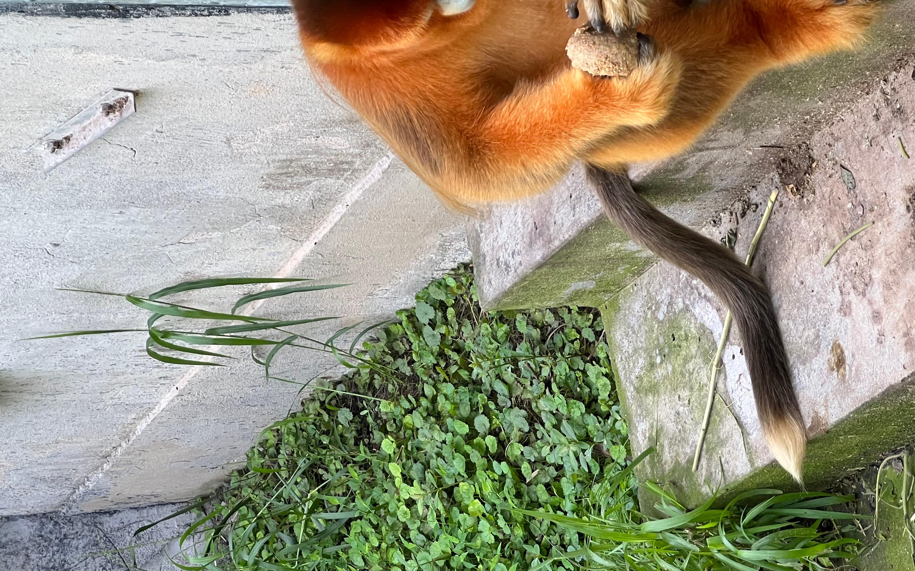 ��˿����±�1 �ļ���.jpg