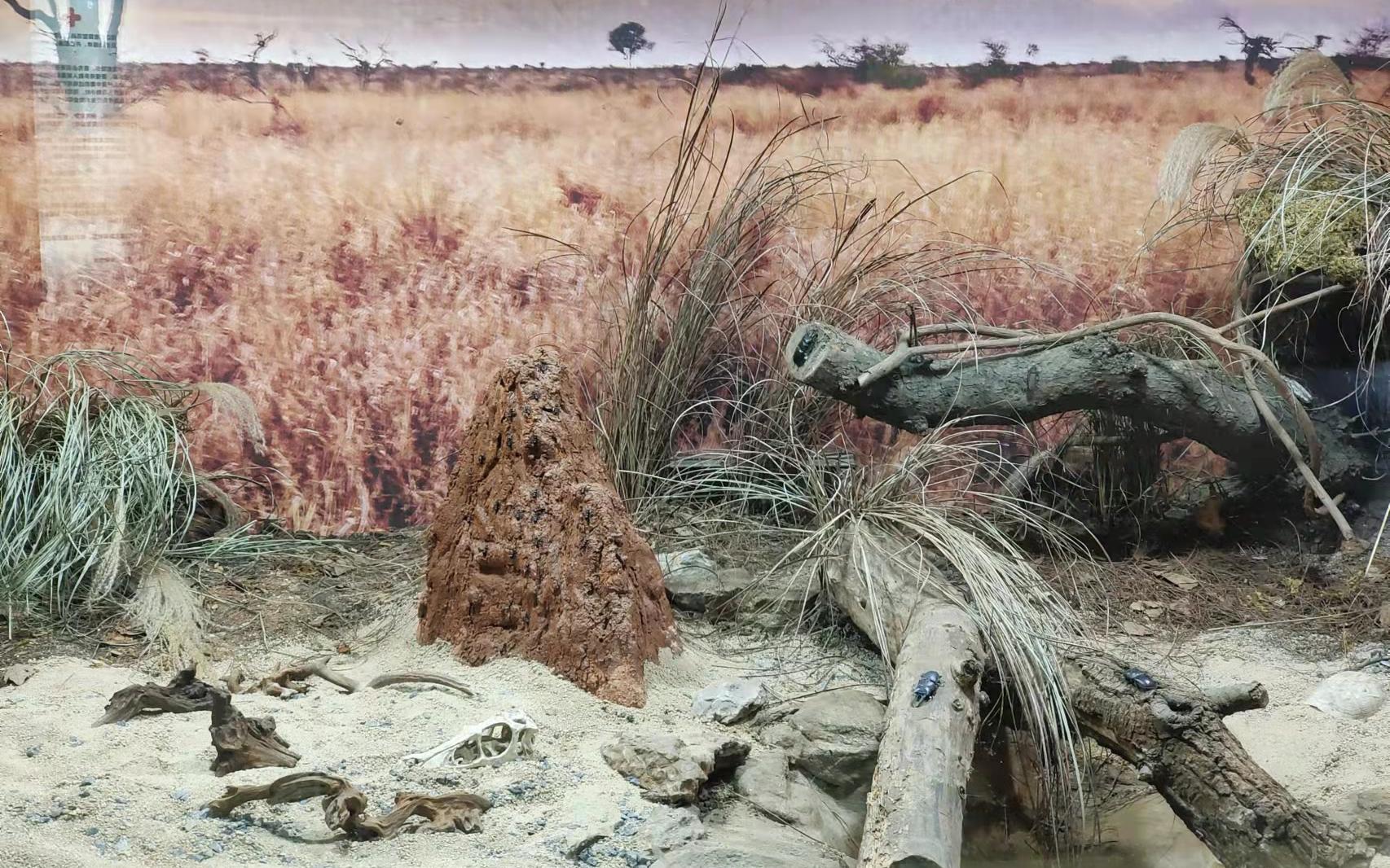 ���Ƹ� (3).jpg