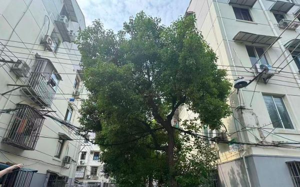 精准排查除隐患 全心整治解民...