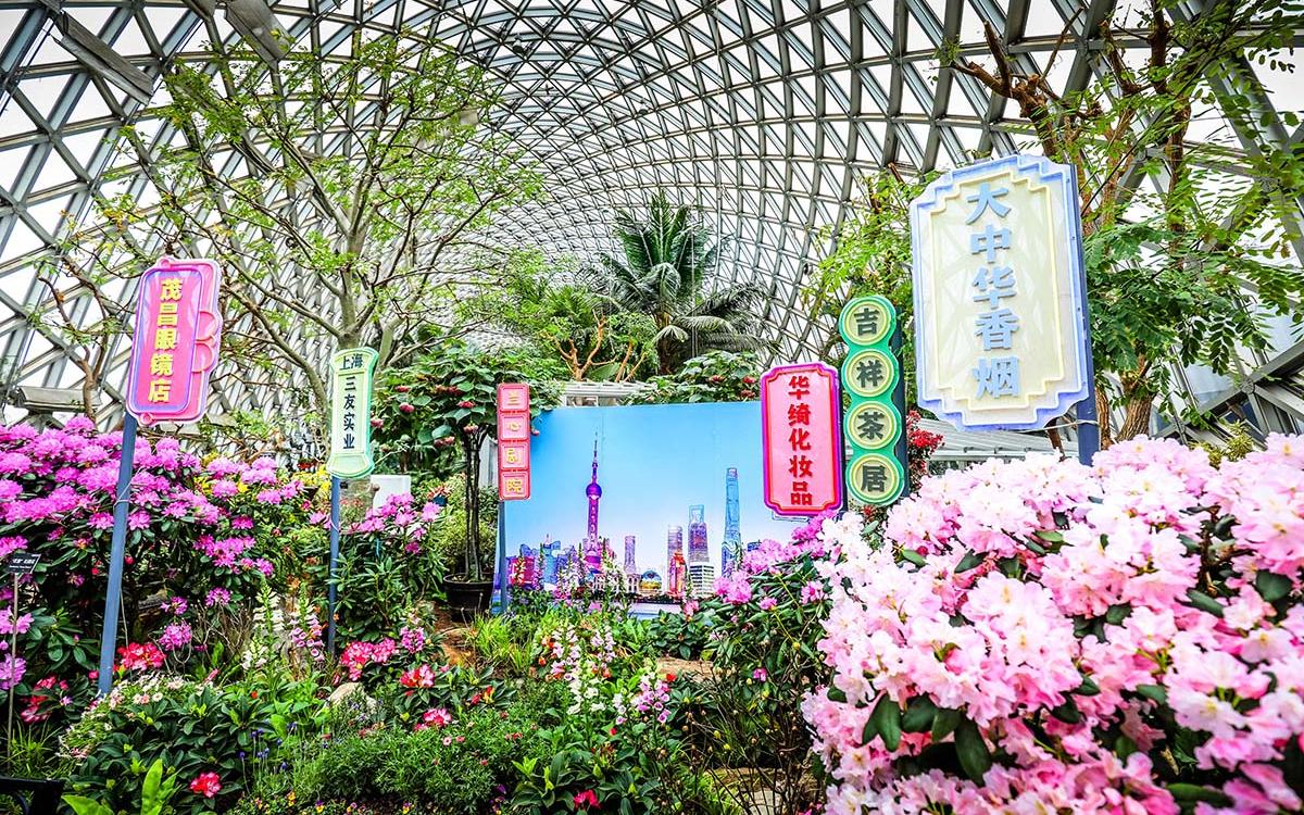 �����Ϸ��� �޺���ơ�����չʾ��1��.jpg