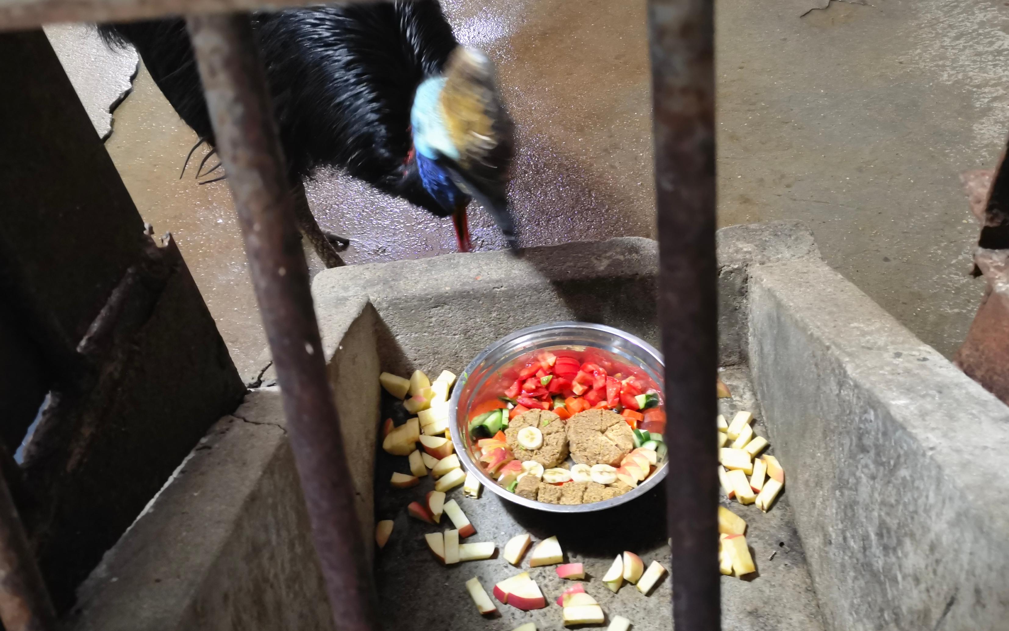 ʳ�𼦳��±� ���.jpg