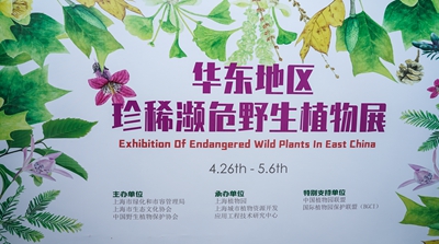 DSC02298.jpg DSC02298.jpg