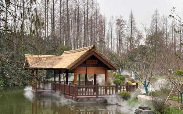 上海滨江森林公园杜鹃园完成...