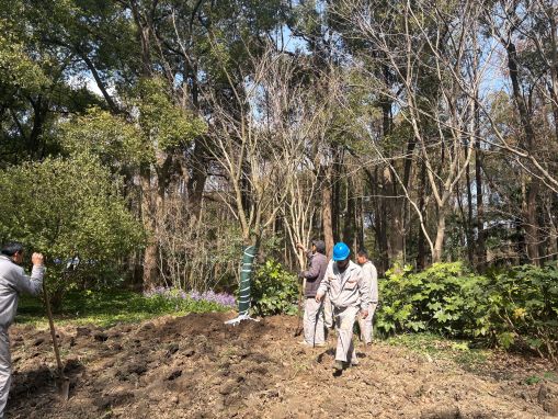 上海共青森林公园推进水森林...