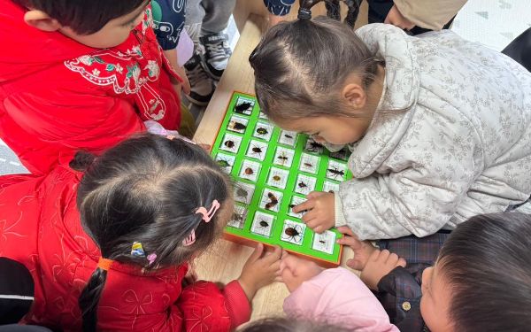 微信图片_20251208142350_269_268.jpg 微信图片_20251208142350_269_268.jpg