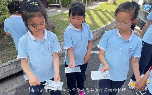 上海市浦东新区华林小学.jpg 上海市浦东新区华林小学.jpg