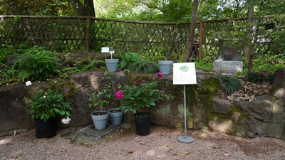 舟山市林业科学研究院.jpg 舟山市林业科学研究院.jpg