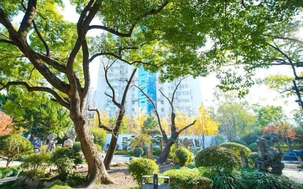 探秘-图片4.jpg 探秘-图片4.jpg