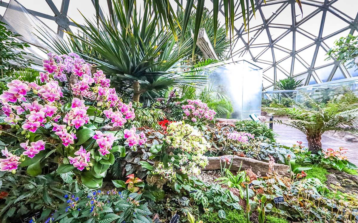 �´�����չʾ  (1).jpg