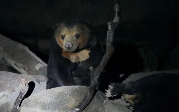 微信图片_20250813171110.jpg 微信图片_20250813171110.jpg