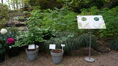 宁波植物园.jpg 宁波植物园.jpg