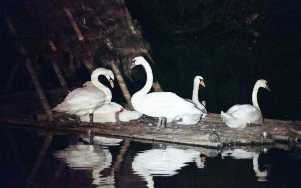 微信图片_20250813171101.jpg 微信图片_20250813171101.jpg