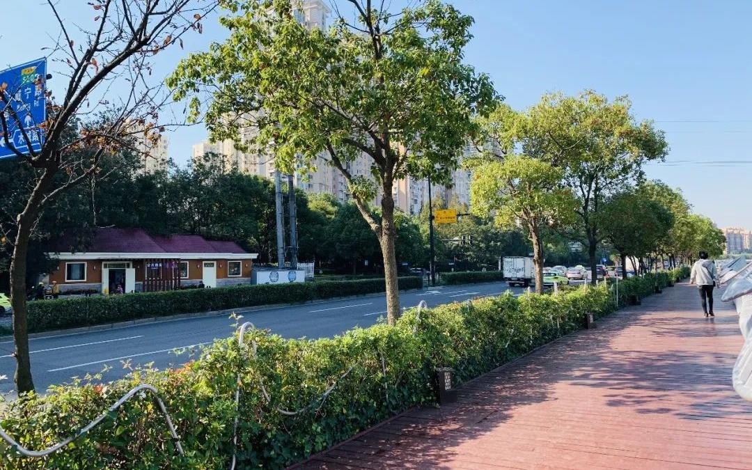 �Ϻ������ø�Ʒ�ʷ�������Ⱥ���Ҹ��� (3).jpg